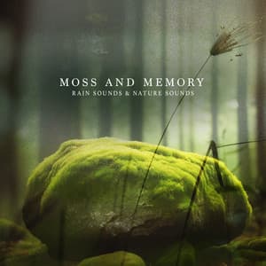 Moss and Memory - Rain Sounds & Nature Sounds
