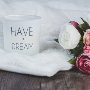 Nature Sleep Sounds: Fire Burning, Jungle Birds, Water Ocean Waves, Airplane and ASMR Forest - ASMR For Sleep