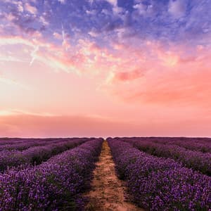 Affirming Serenity - Rain for Deep Sleep