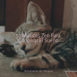 50 Músicas Zen Para Conciliar El Sueño - Musica para Meditar