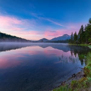 Armónicos Calmantes: Sonidos Para El Descanso - Música de cóctel