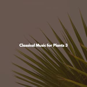 Classical Music for Plants 3 - New York Luxury Playlist