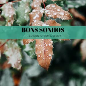 Relaxe Em Casa: Outro Dia De Belas Chuvas - Natureza FX