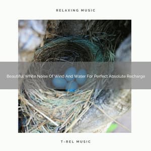Beautiful White Noise Of Wind And Water For Perfect Absolute Recharge - The Noise Project