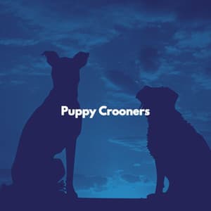 Puppy Crooners - Gentle Morning Music