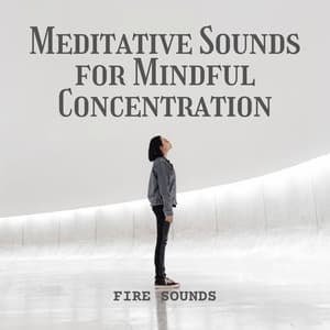 Fire Sounds: Meditative Sounds for Mindful Concentration - Fireplace FX Studio