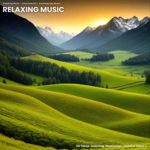 Relaxing Music for Sleep, Relaxing, Meditation, Tinnitus Relief 2 - Sleeping Music