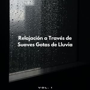 Relajación A Través De Suaves Gotas De Lluvia Vol. 1 - Olivia Lluvia