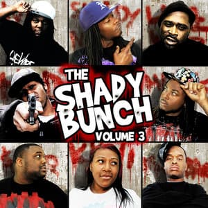 The Shady Bunch Vol. 3 - Shady Nate