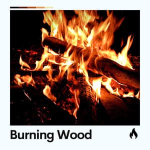 Burning Wood - Fire Sounds