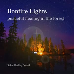Bonfire Lights: peaceful healing in the forest - RelaxHealingSound