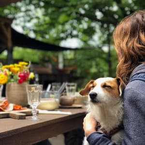 Backdrop for Dreamy Doggy - Jazz Quintet - Separation Anxiety Dog Music