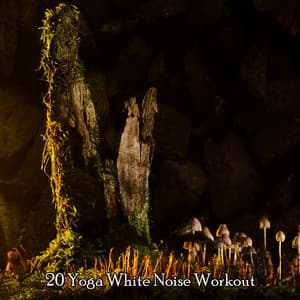 20 Yoga White Noise Workout - The White Noise Zen & Meditation Sound Lab