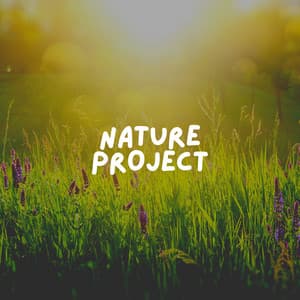 Nature Project - Rain Sounds Nature Collection