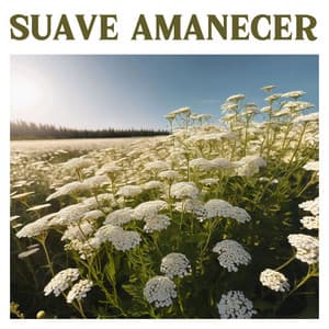 Suave Amanecer: Nueva Era de Tranquilidad y Harmonía - Armonía Creativa