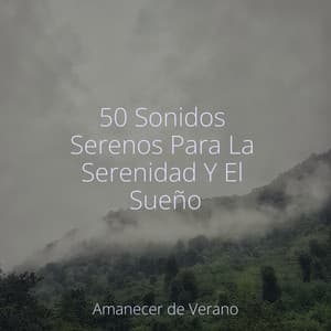 50 Sonidos Serenos Para La Serenidad Y El Sueño - Ambiente