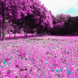 Easy Background for Somber Dreams - Jazz for Tea and Coffee