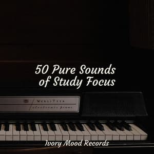 50 Pure Sounds of Study Focus - Ivory Mood