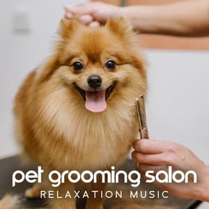 Pet Grooming Salon Relaxation Music - Animal Melody Wizard
