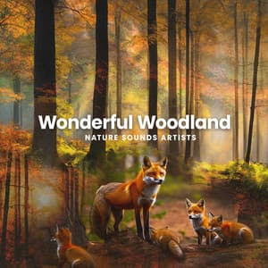 Wonderful Woodland - Nature Sounds Artists