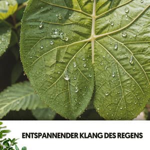 Entspannender Klang des Regens: Melodien vom Himmel - Dog Relaxation