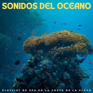 Sonidos Del Océano: Playlist De Spa En La Costa De La Playa - Domingos por el Océano