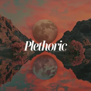 Plethoric - Solitude Beats