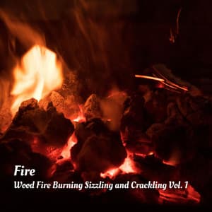 Fire: Wood Fire Burning Sizzling and Crackling Vol. 1 - Coffee Shop Jazz Relax