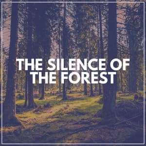 The Silence of the Forest - Sound of Nature Library