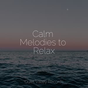 Calm Melodies to Relax - Unforgettable Paradise SPA Music Academy