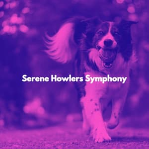 Serene Howlers Symphony - Calming Dog Jazz