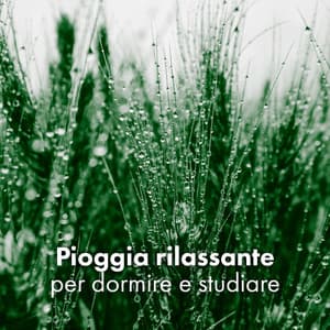 Pioggia rilassante per dormire e studiare: musica new age, rilassante natura - Pioggia rilassante
