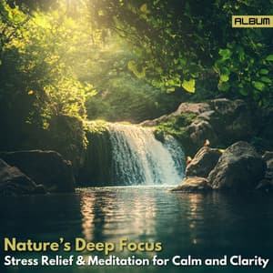 Nature’s Deep Focus - Stress Relief & Meditation for Calm and Clarity - Meditation Music for the Soul