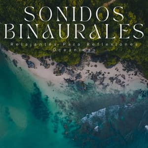 Sonidos Binaurales Relajantes Para Reflexiones Oceánicas - Reiki