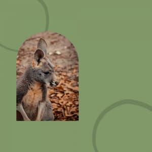 Music - Relaxing Rituals - Jazz Piano Instrumentals