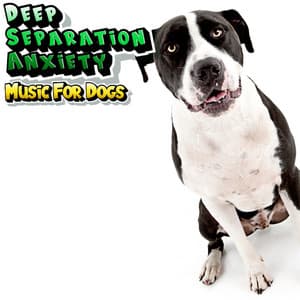 Calming Dog Relaxation Music For Stress Reduction - Deep Separation Anxiety Music For Dogs
