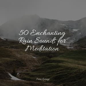50 Enchanting Rain Sounds for Meditation - White Noise Nature Sounds Baby Sleep