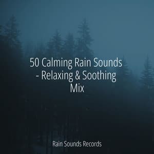 50 Calming Rain Sounds - Relaxing & Soothing Mix - Sleep Sound Library