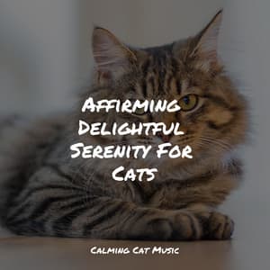 Affirming Delightful Serenity For Cats - Cat Music Therapy
