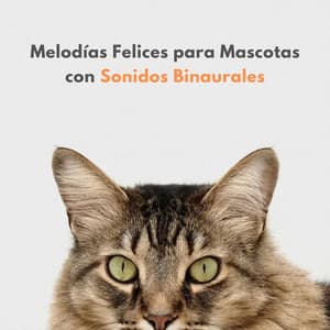 Melodías Felices Para Mascotas Con Sonidos Binaurales - Universo De Latidos Binaurales