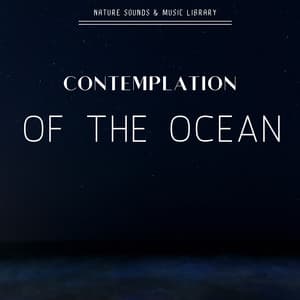 Contemplation of the Ocean - Nature Sounds & Music Library