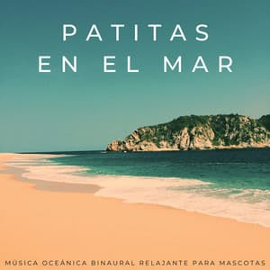 Patitas En El Mar: Música Oceánica Binaural Relajante Para Mascotas - Beats binaurales MT