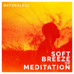Soft Breeze of Meditation - Naturaleza