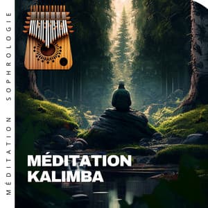Méditation kalimba - Méditation Sophrologie