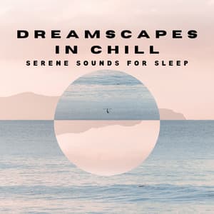Dreamscapes in Chill: Serene Sounds for Sleep - Piano Dreamers