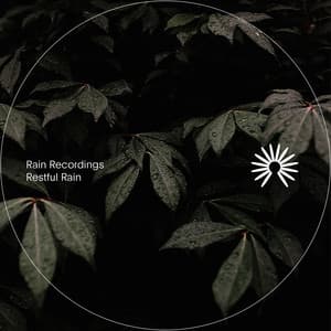 Restful Rain - Rain Recordings