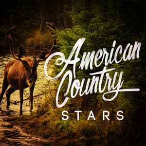American Country Stars - Country Hit Superstars