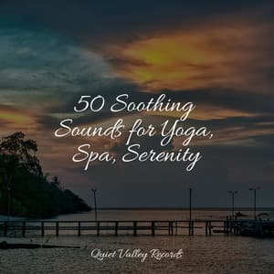 50 Soothing Sounds for Yoga, Spa, Serenity - Sounds of Nature Relaxation