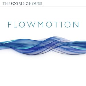 Flowmotion - Robert White