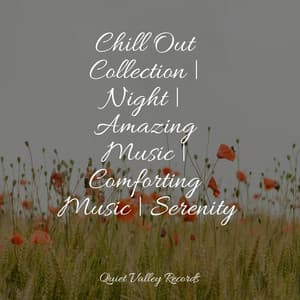 Chill Out Collection | Night | Amazing Music | Comforting Music | Serenity - Anxiety Relief